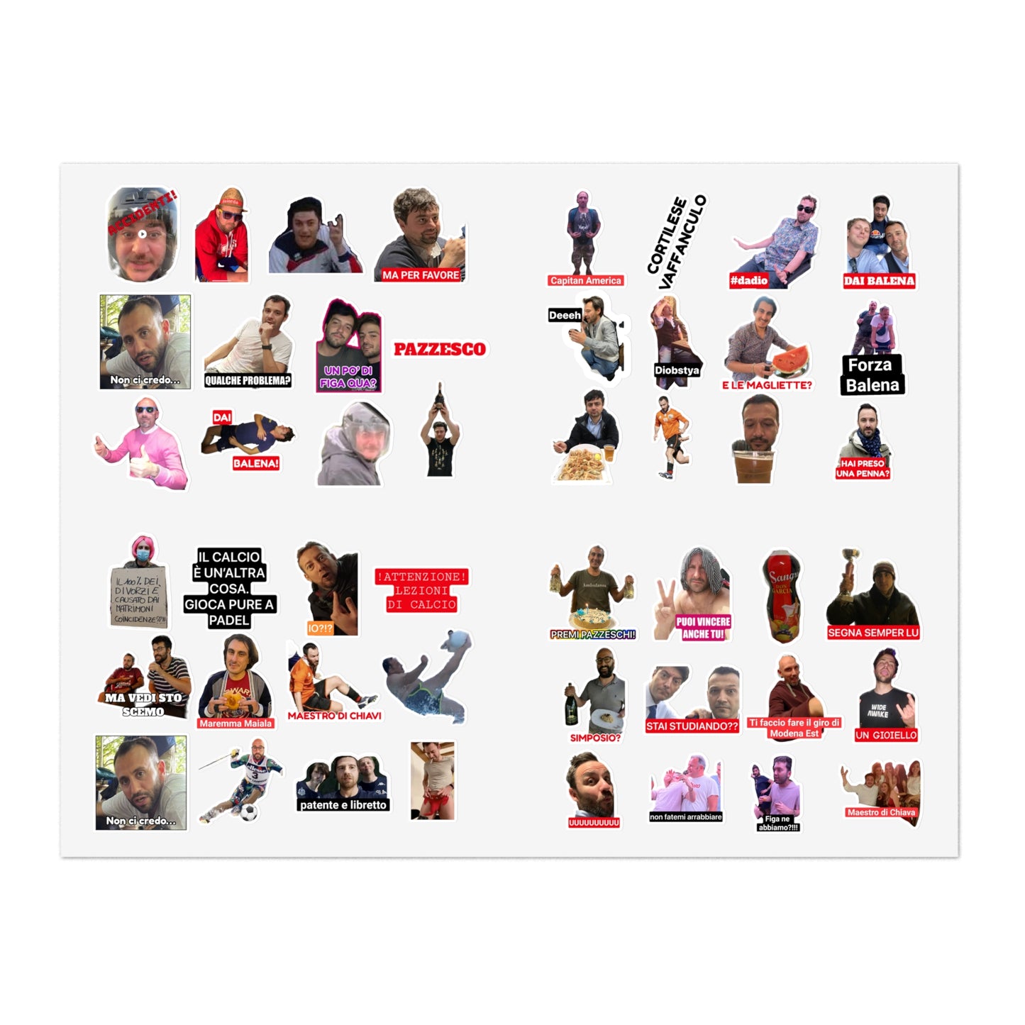 Pioggia di Sticker BALENA (spedizione compresa)