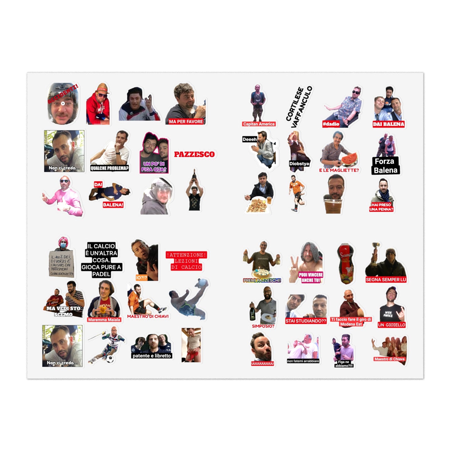 Pioggia di Sticker BALENA (spedizione compresa)