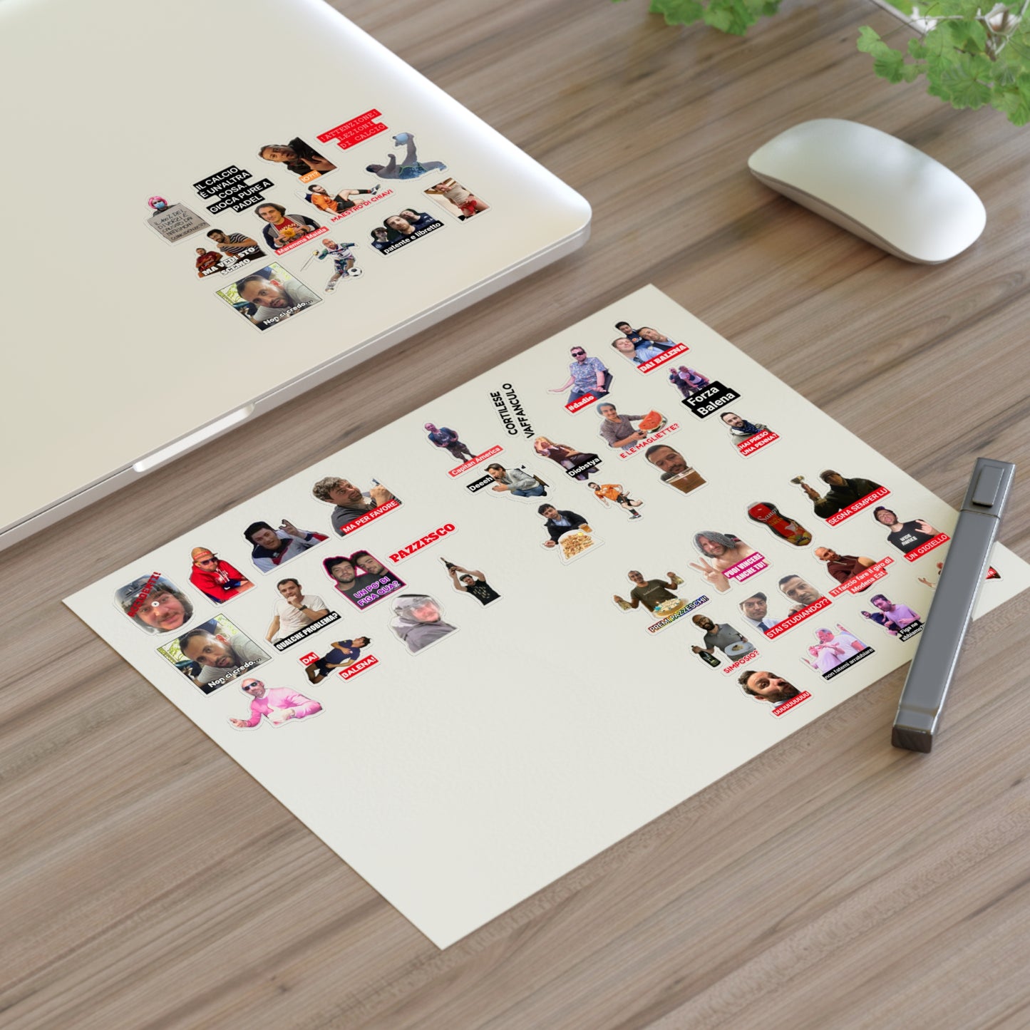 Pioggia di Sticker BALENA (spedizione compresa)